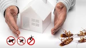 Benefits of Pest Control