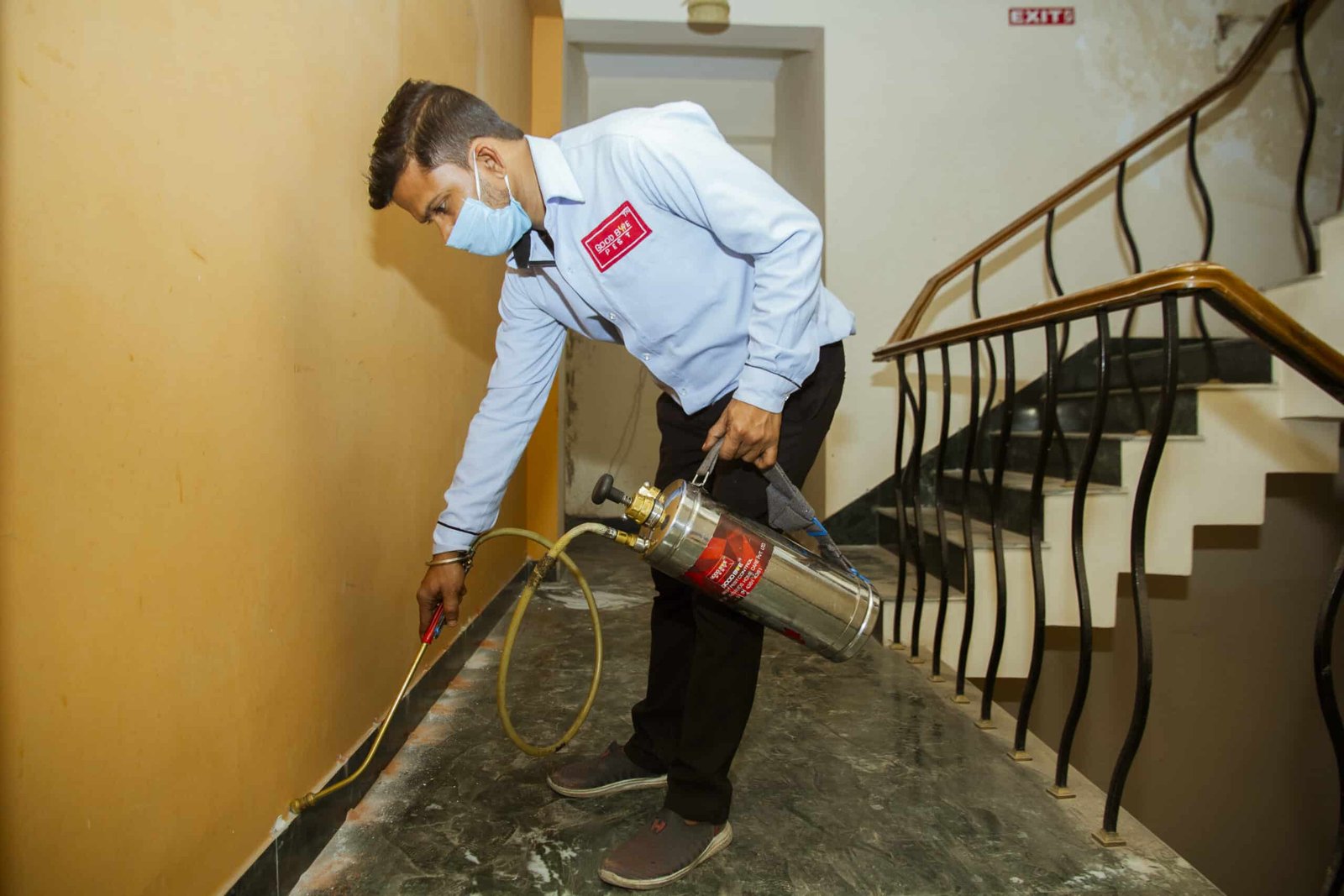 Hire Pest Control Company in Kolkata During Pandemic 2021