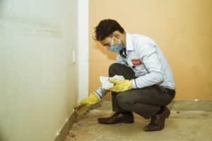 Termite Pest Control Kolkata Sealing holes