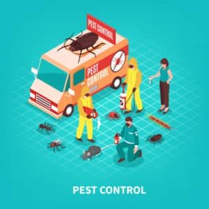 control insects