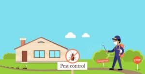 pest-control-Kolkata-Tips