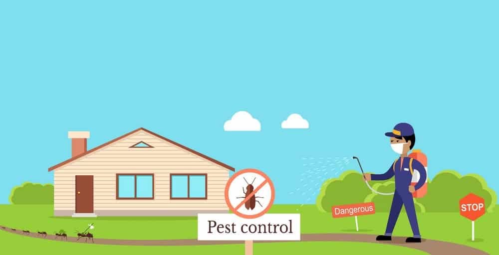 pest-control-Kolkata-Tips