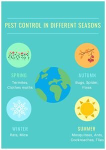 seasonal-pests-problems