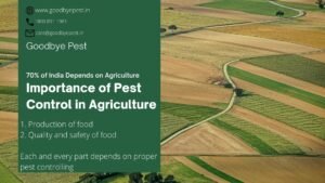 pest affected agriculture