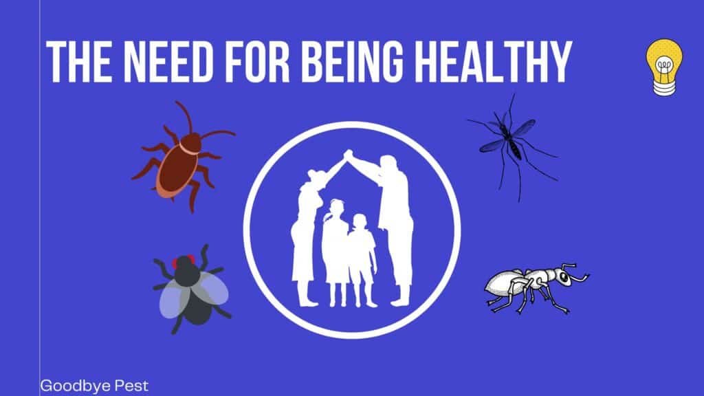 Keeping Family Healthy From Pests