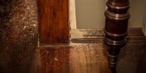 termite-damage-wooden-surface