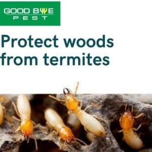 Protect wood from termite