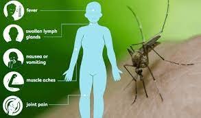 west nile virus