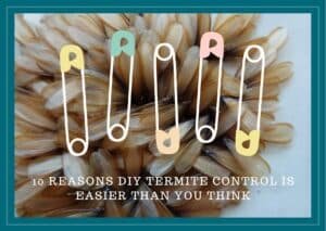 10 Reasons DIY Termite Control is easier than you think