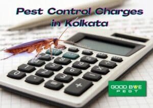 Pest Control Charges