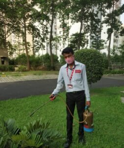 Pest control Service in Kolkata